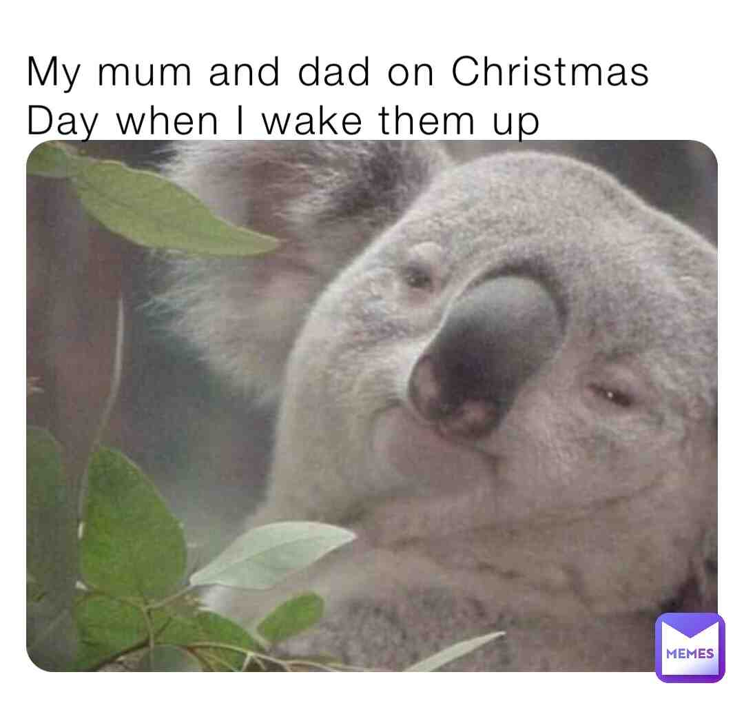Meme shared by @memesboy4804