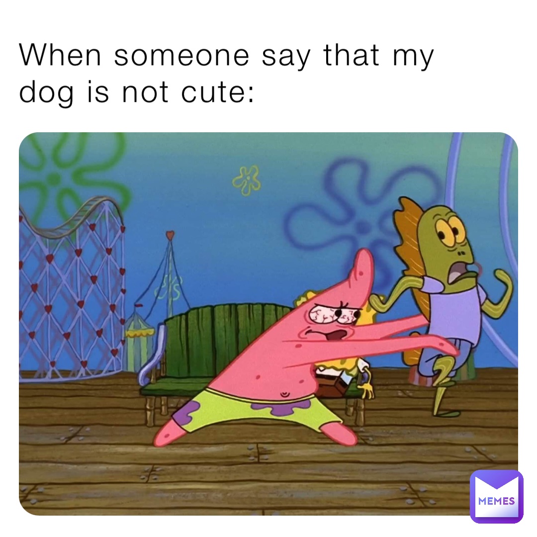 When someone say that my dog is not cute: