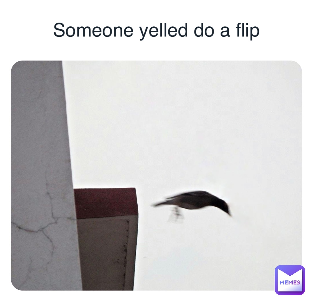 Someone yelled do a flip