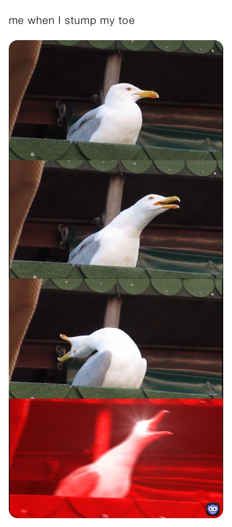 Meme by strong_rock_lee