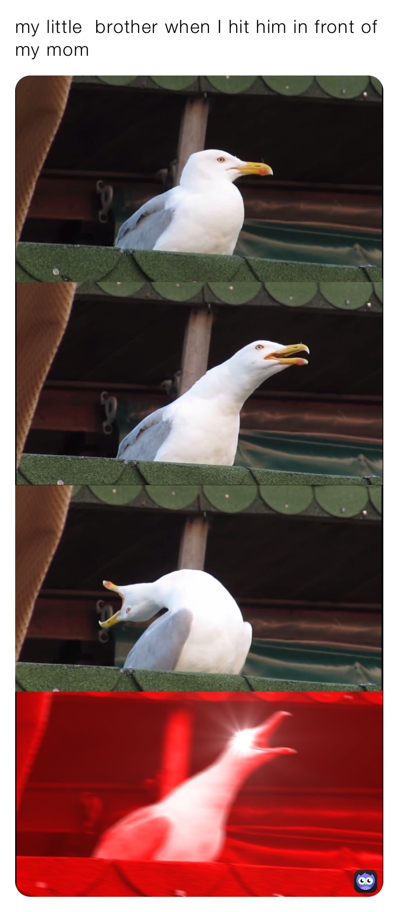 Meme by strong_rock_lee