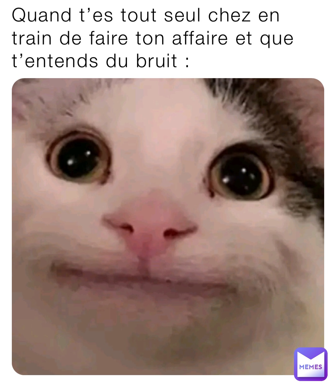 Quand t’es tout seul chez en train de faire ton affaire et que t’entends du bruit :