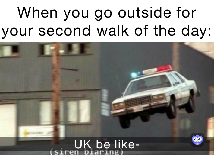 When you go outside for your second walk of the day: UK be like-