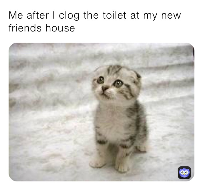 Me after I clog the toilet at my new friends house