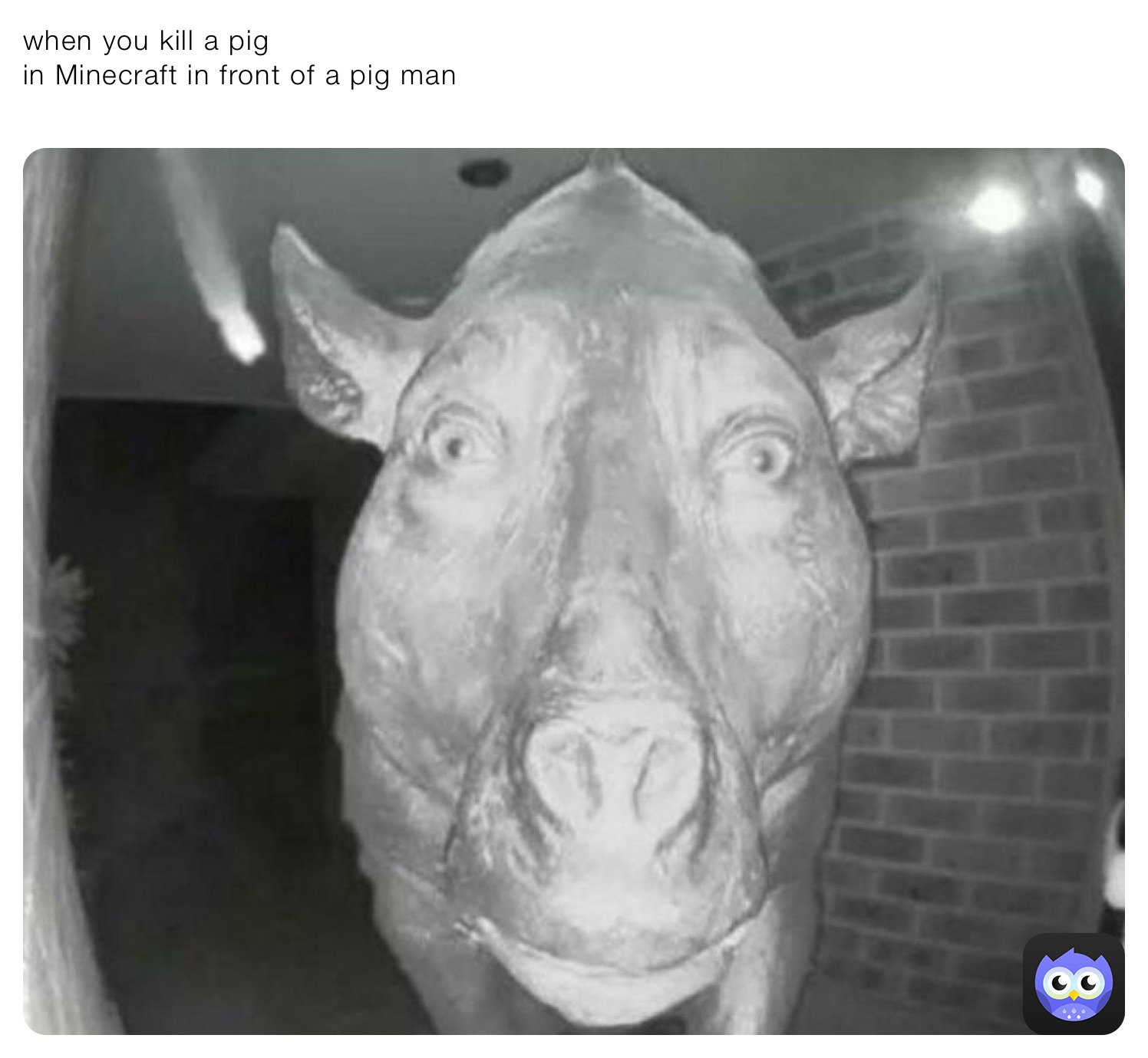 when you kill a pig 
in Minecraft in front of a pig man 
