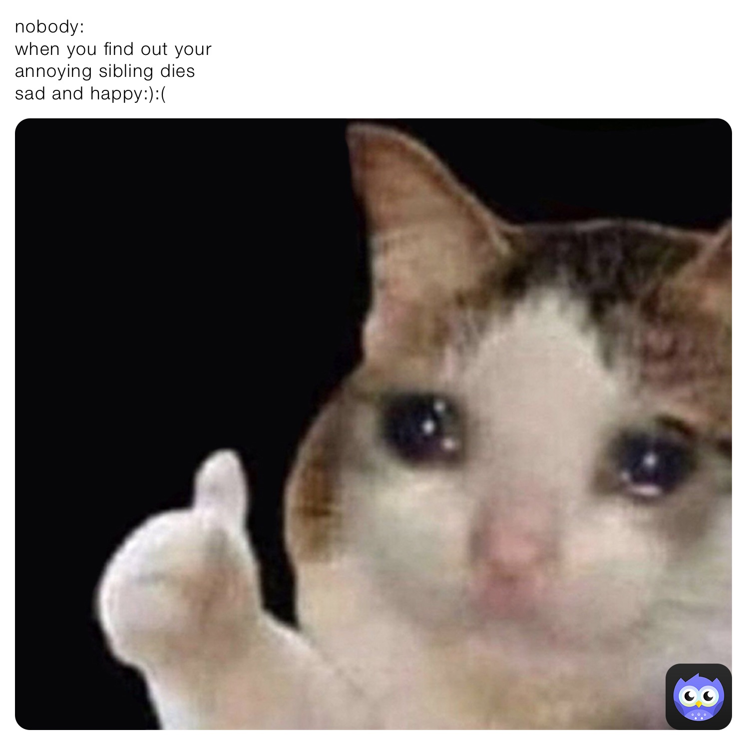 Meme by memebruh.bruh