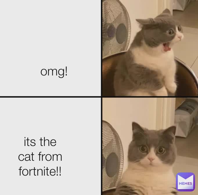 omg! its the cat from fortnite!!