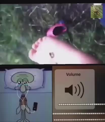 Meme shared by @6PLAYS
