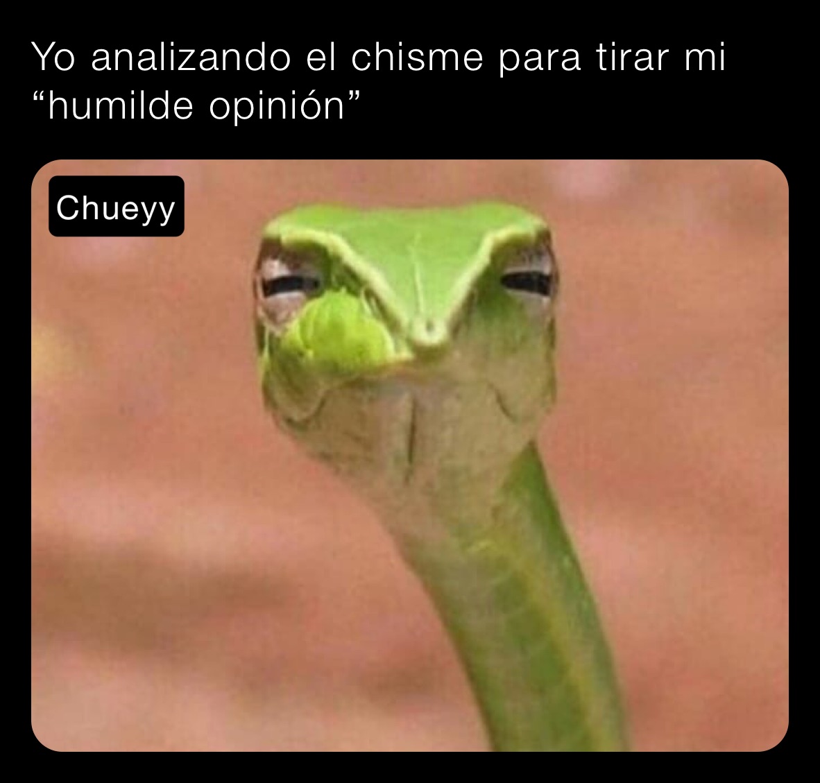 Yo analizando el chisme para tirar mi “humilde opinión”
