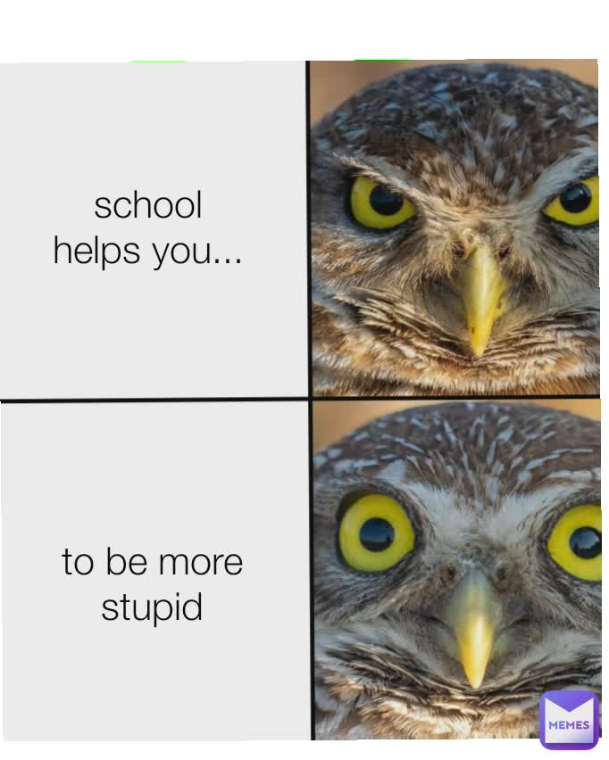 school helps you... to be more stupid | @twoface78 | Memes