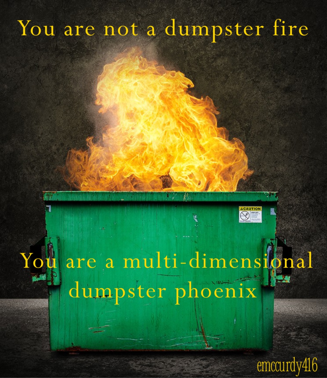 you-are-not-a-dumpster-fire-you-are-a-multi-dimensional-dumpster