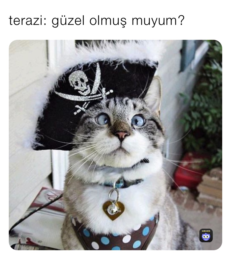 terazi: güzel olmuş muyum?