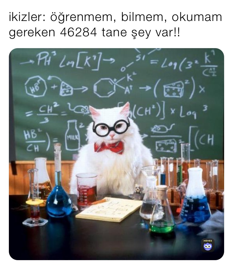 ikizler: öğrenmem, bilmem, okumam gereken 46284 tane şey var!!