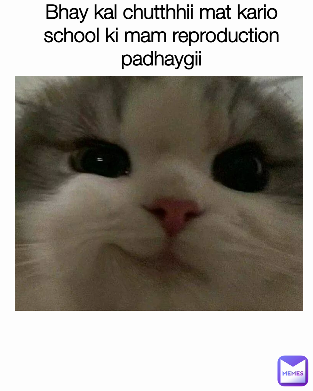 Bhay kal chutthhii mat kario school ki mam reproduction padhaygii