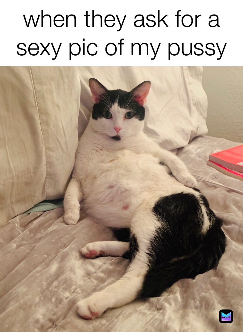 Meme de yo pussy