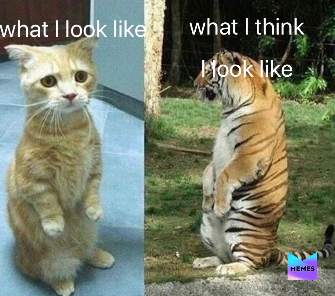 Meme by over_ride_live