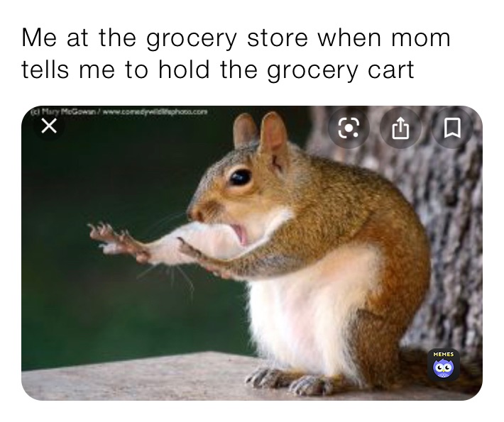 Me at the grocery store when mom tells me to hold the grocery cart