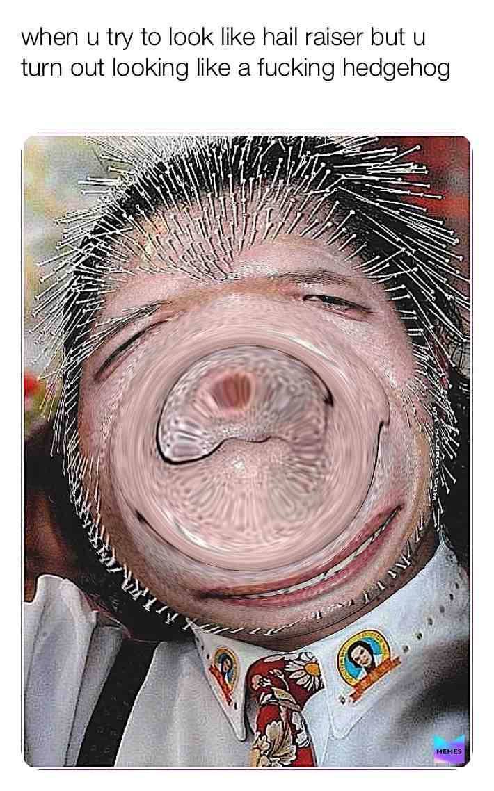 #foryou #foryoupage #4upage #forupage #hedghog #helleasier #spikes #meme