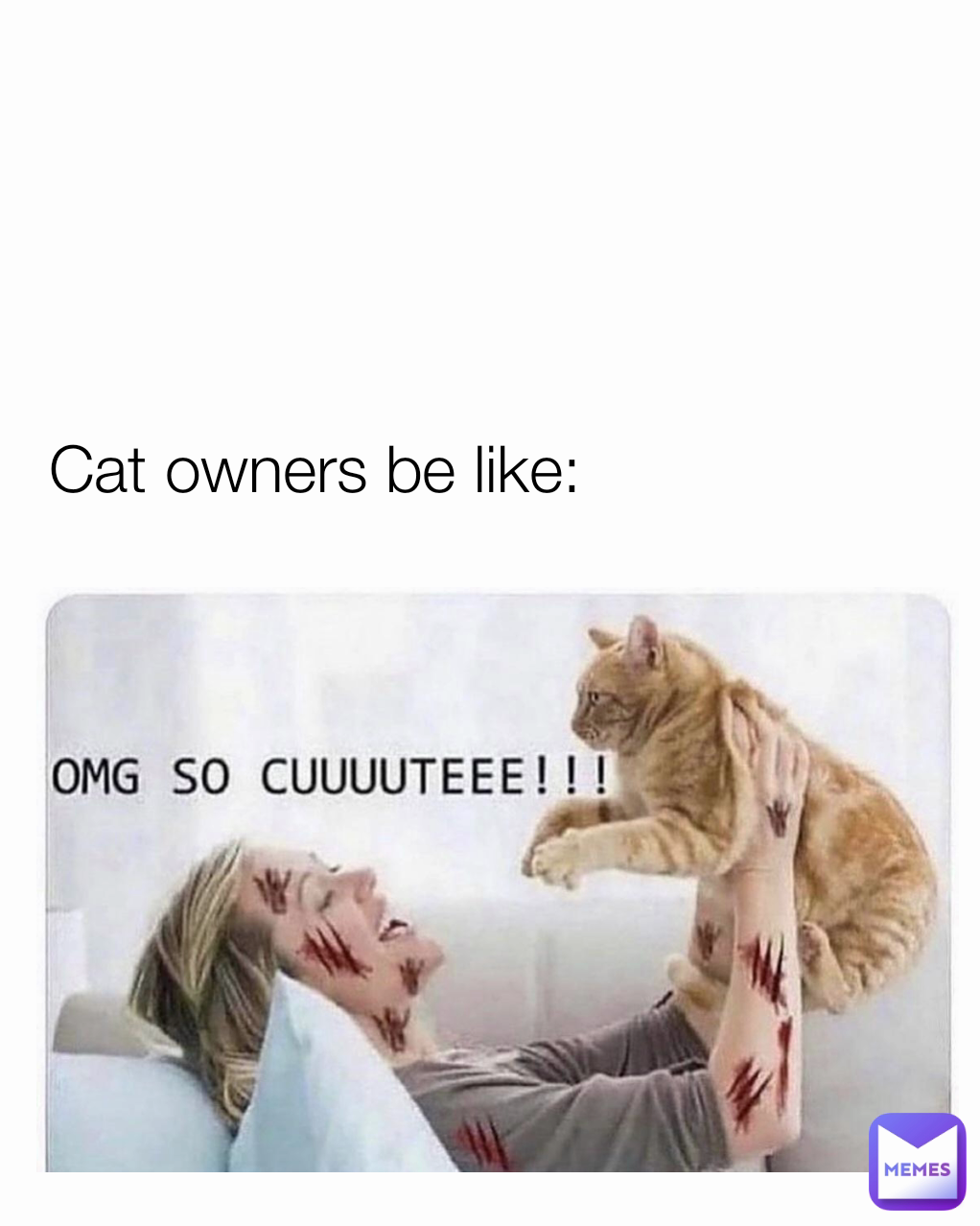 Cat owners be like: