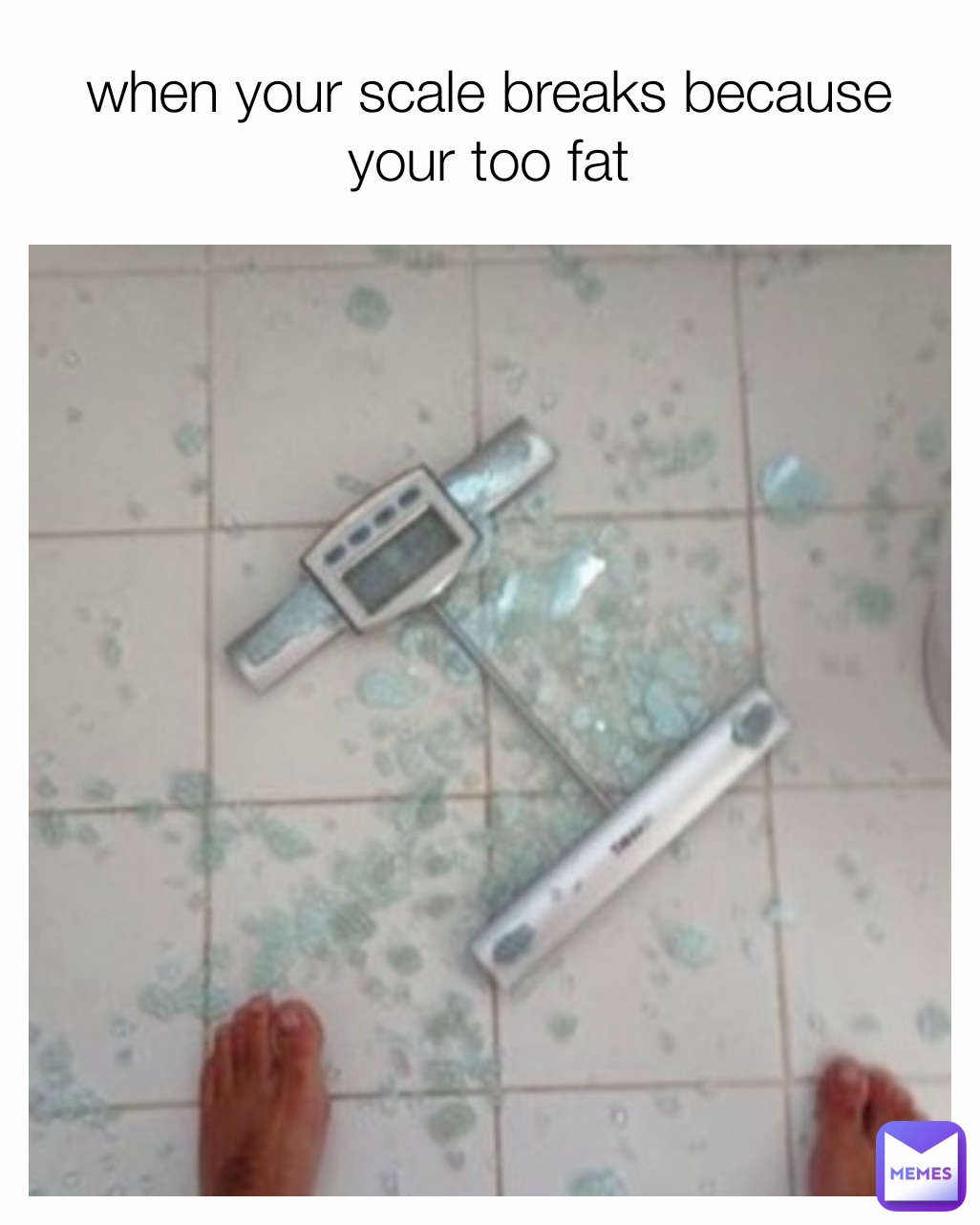 when your scale breaks because your too fat
