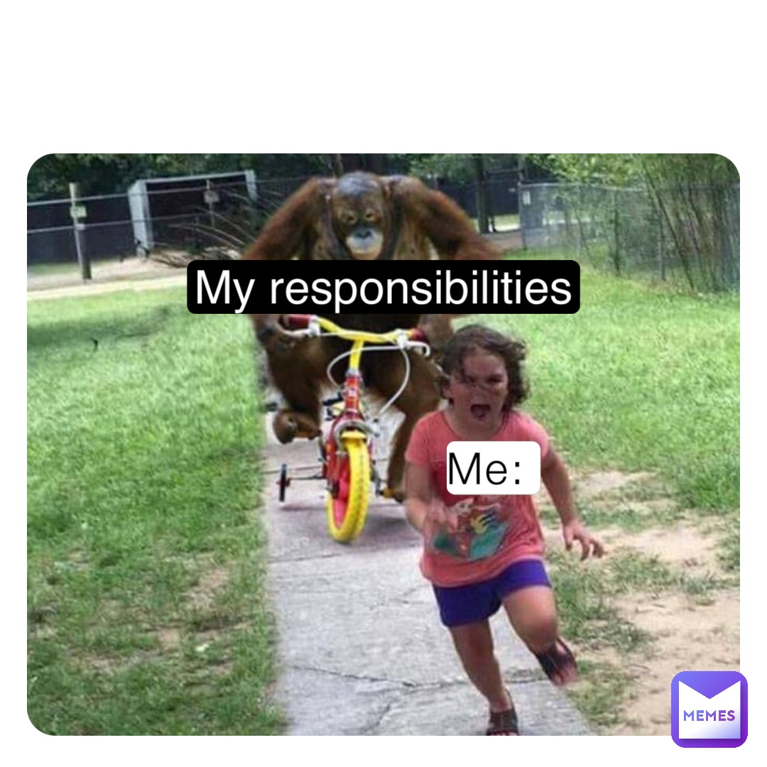 Me: My responsibilities