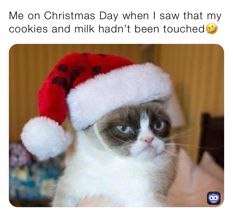 Me on Christmas Day when I saw that my cookies and milk hadn’t been touched🤣