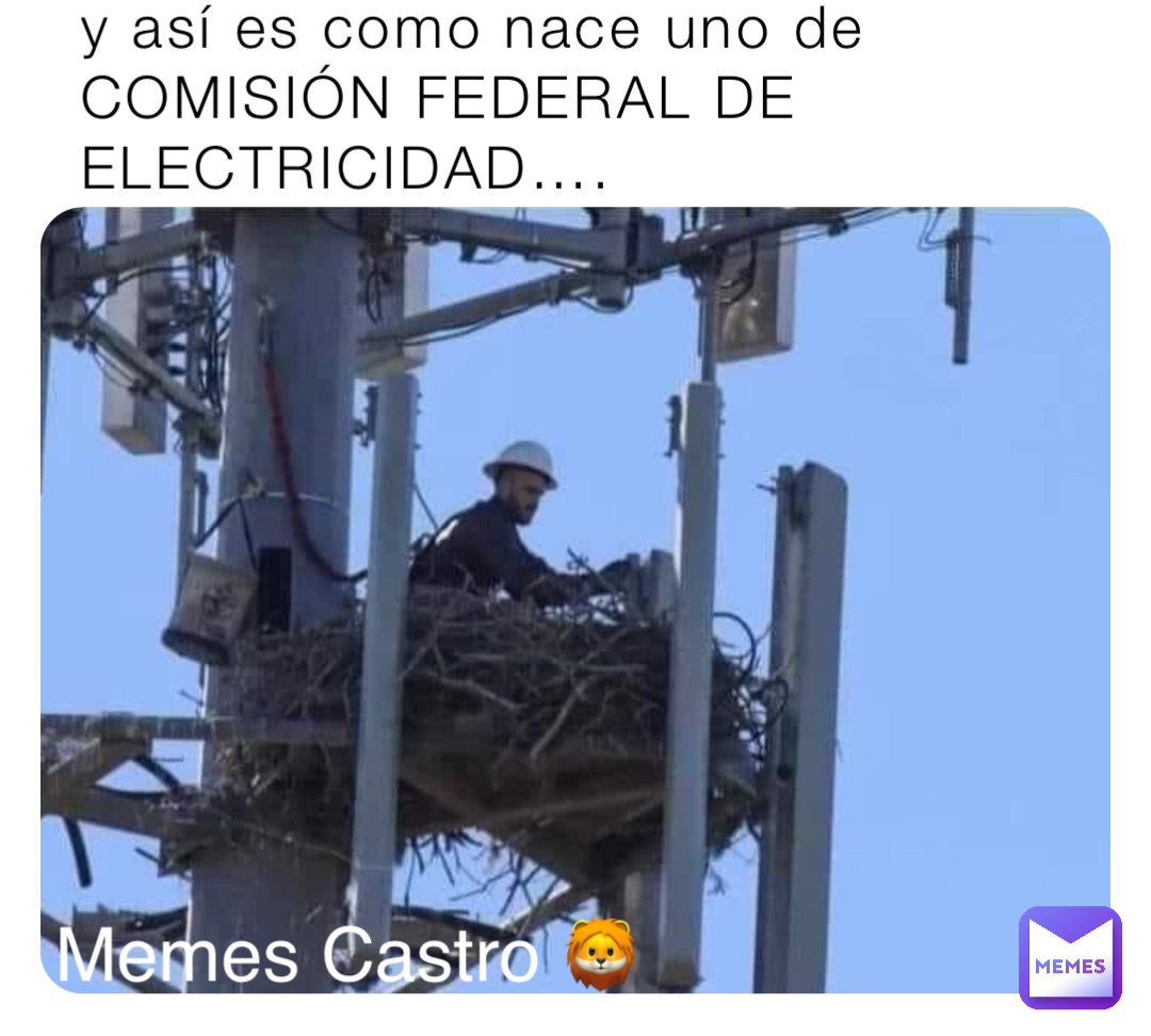 y así es como nace uno de COMISIÓN FEDERAL DE ELECTRICIDAD…. Memes Castro 🦁