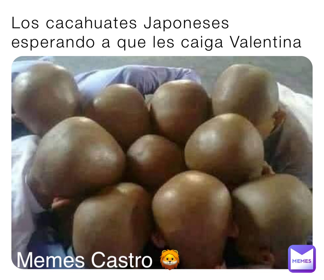 Los cacahuates Japoneses esperando a que les caiga Valentina Memes Castro 🦁