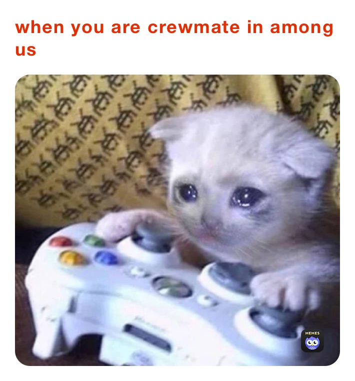 when you are crewmate in among us
