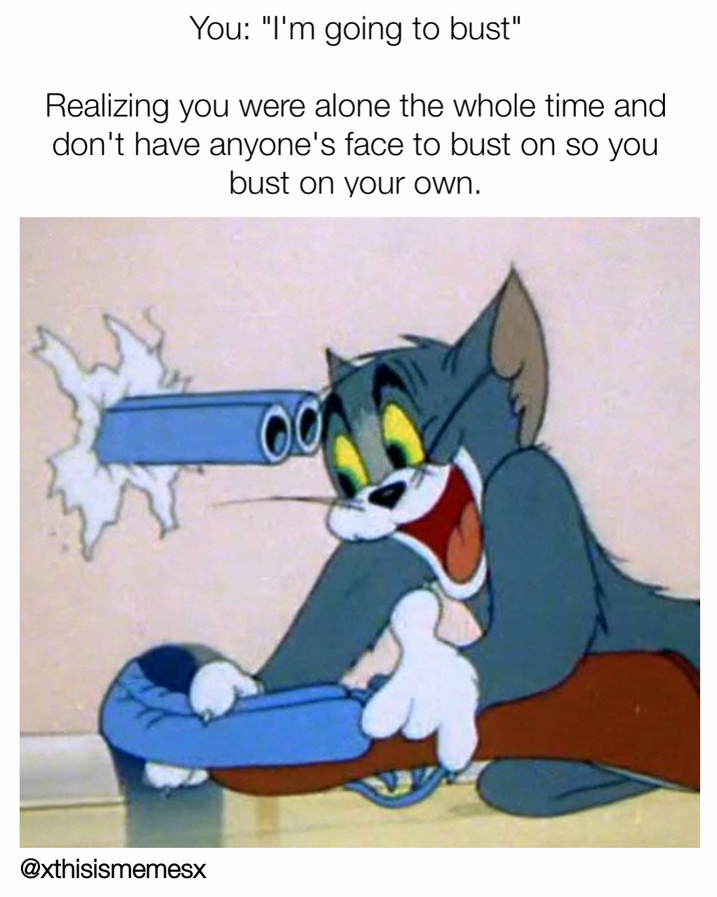 You: "I'm going to bust"

Realizing you were alone the whole time and don't have anyone's face to bust on so you bust on your own.

 @xthisismemesx