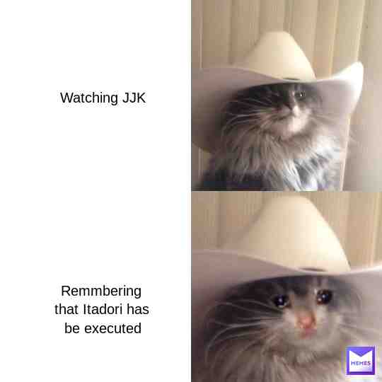 Sadness