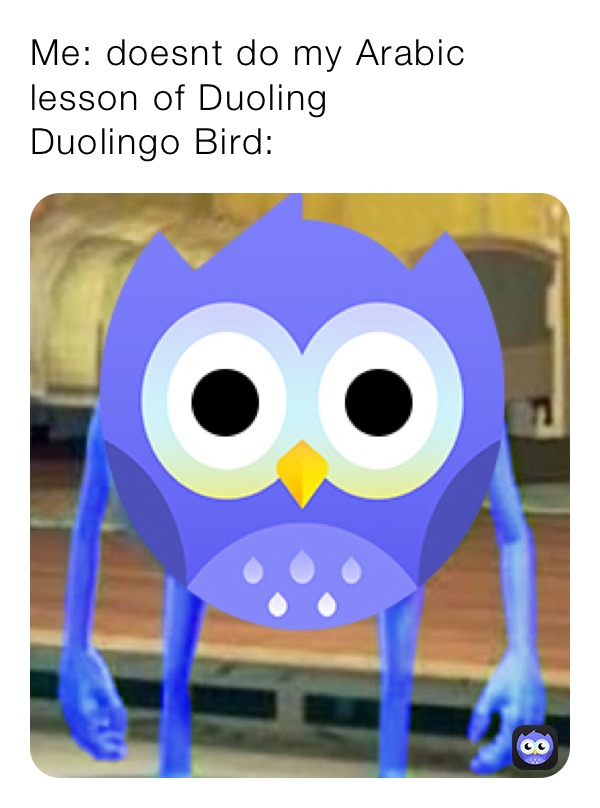 Me: doesnt do my Arabic lesson of Duoling 
Duolingo Bird: 