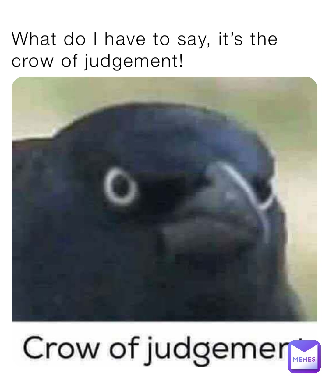 What do I have to say, it’s the crow of judgement!