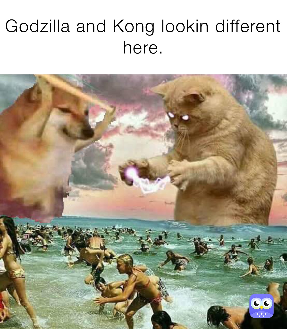 Meme by porkfriedry55