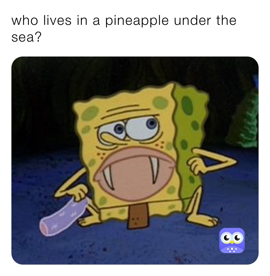 who lives in a pineapple under the sea?