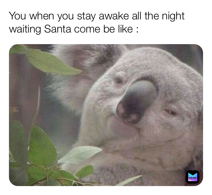 You when you stay awake all the night waiting Santa come be like : 