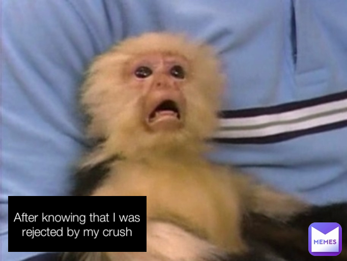 After knowing that I was rejected by my crush
