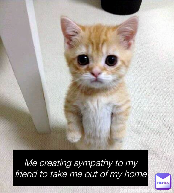 Me creating sympathy to my friend to take me out of my home