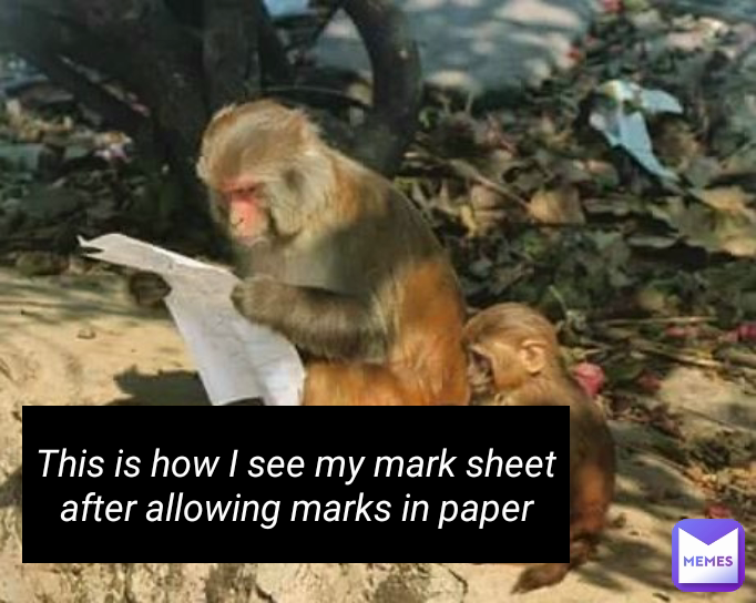 This is how I see my mark sheet after allowing marks in paper