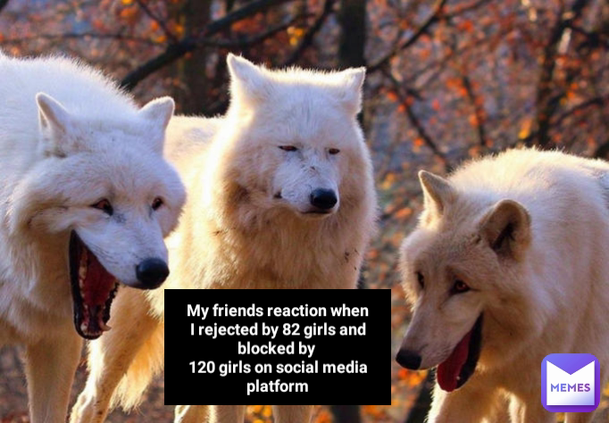 My friends reaction when I rejected by 82 girls and blocked by 
120 girls on social media platform