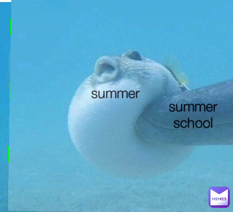 summer school summer 
