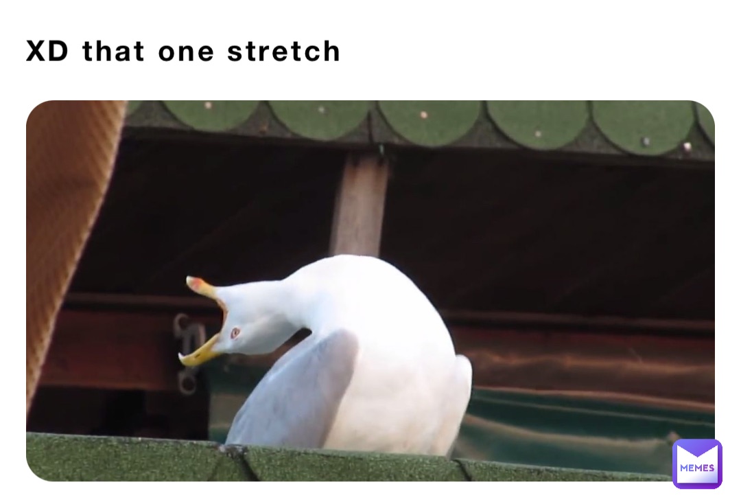 XD that one stretch