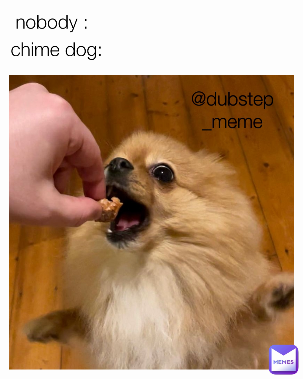 nobody : chime dog: @dubstep_meme