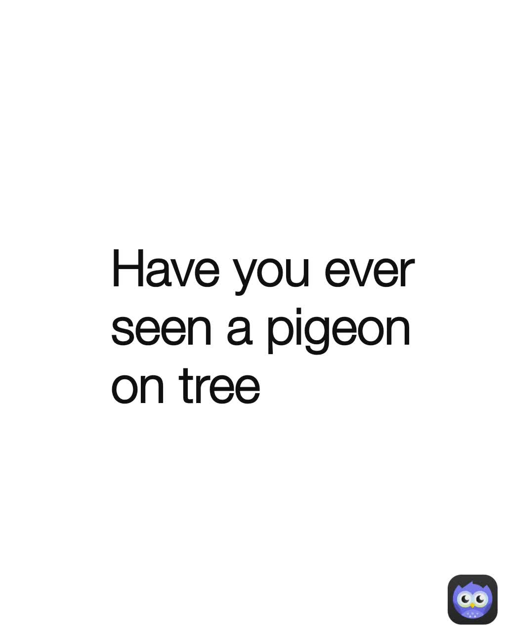 Have you ever seen a pigeon on tree