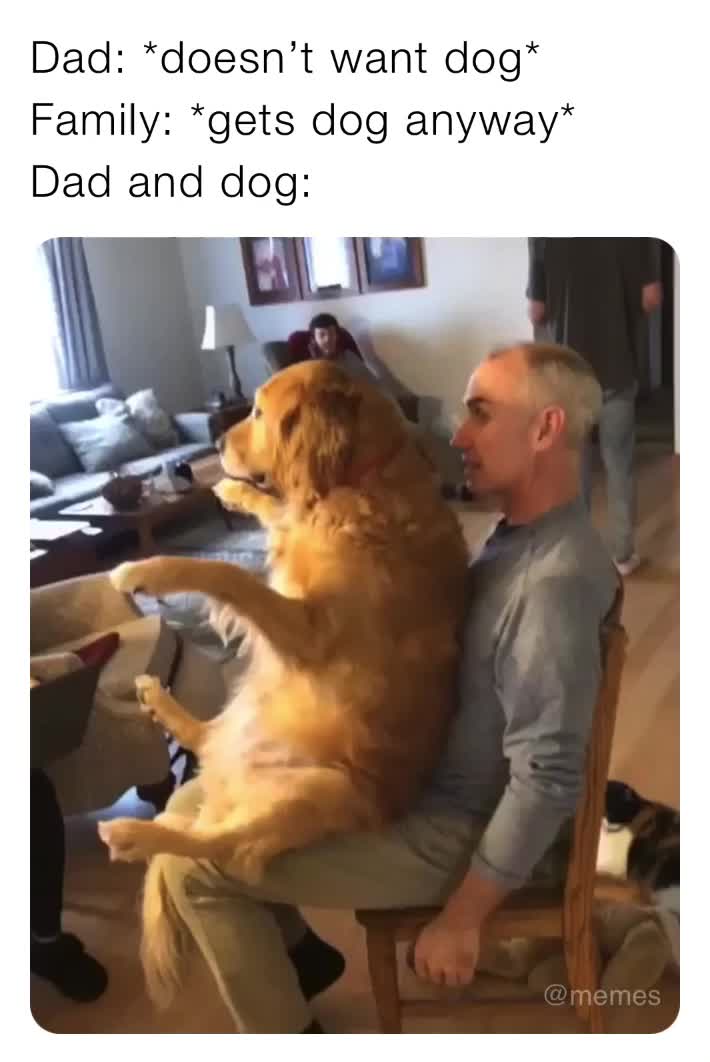 Dad: *doesn’t want dog* Family: *gets dog anyway* Dad and dog