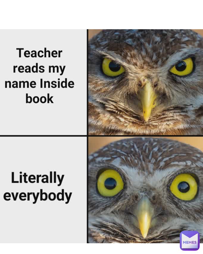 Teacher reads my name Inside book Literally everybody