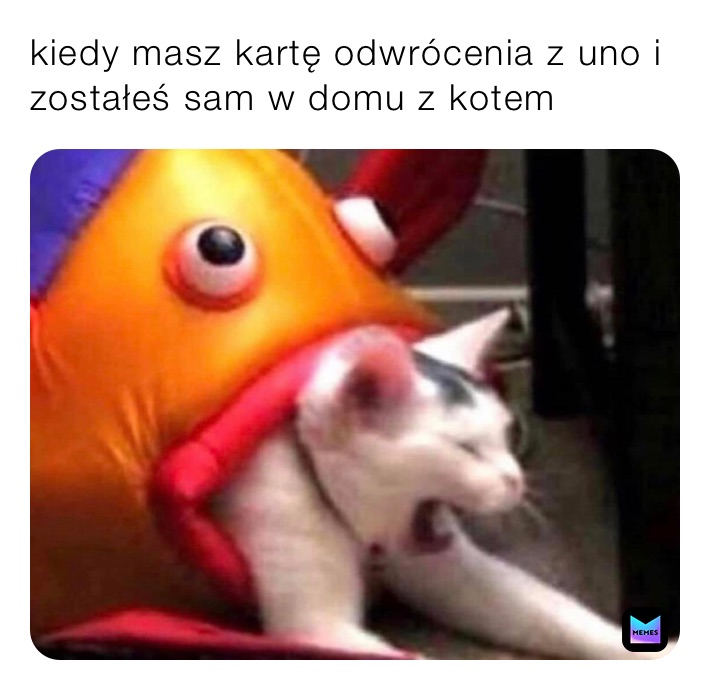 kiedy masz kartę odwrócenia z uno i zostałeś sam w domu z kotem 