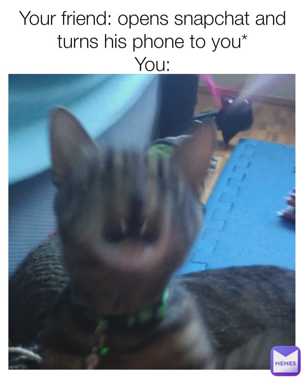 Your friend opens snapchat and turns his phone to you* You