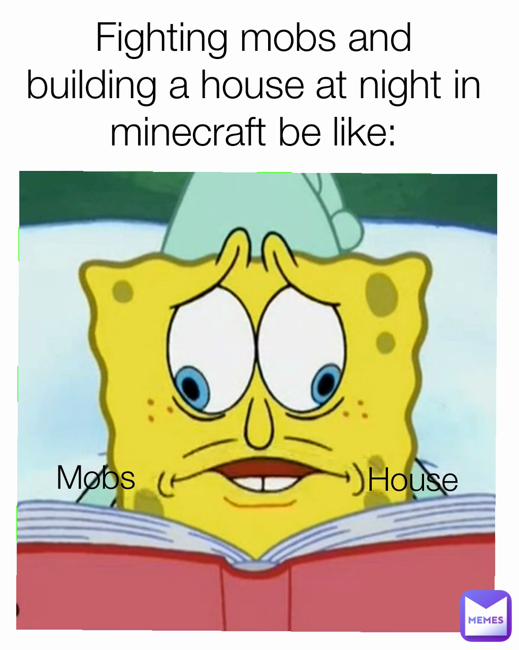 House Fighting mobs and building a house at night in minecraft be like: Mobs