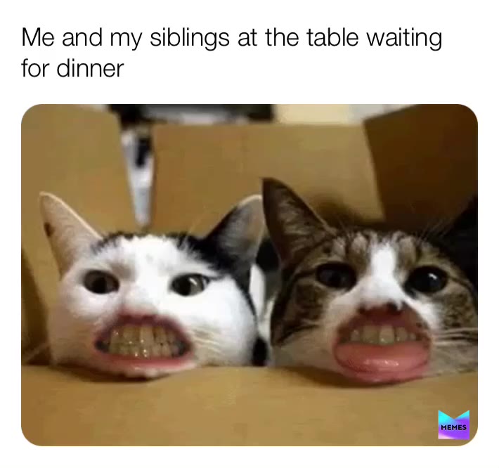 Meme shared by @nerdfest04